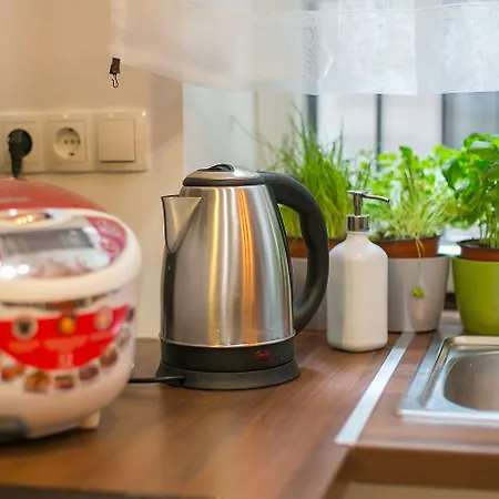 Vandrerhjem Friends & Budapest