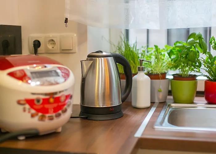 旅馆 Friends & 布达佩斯